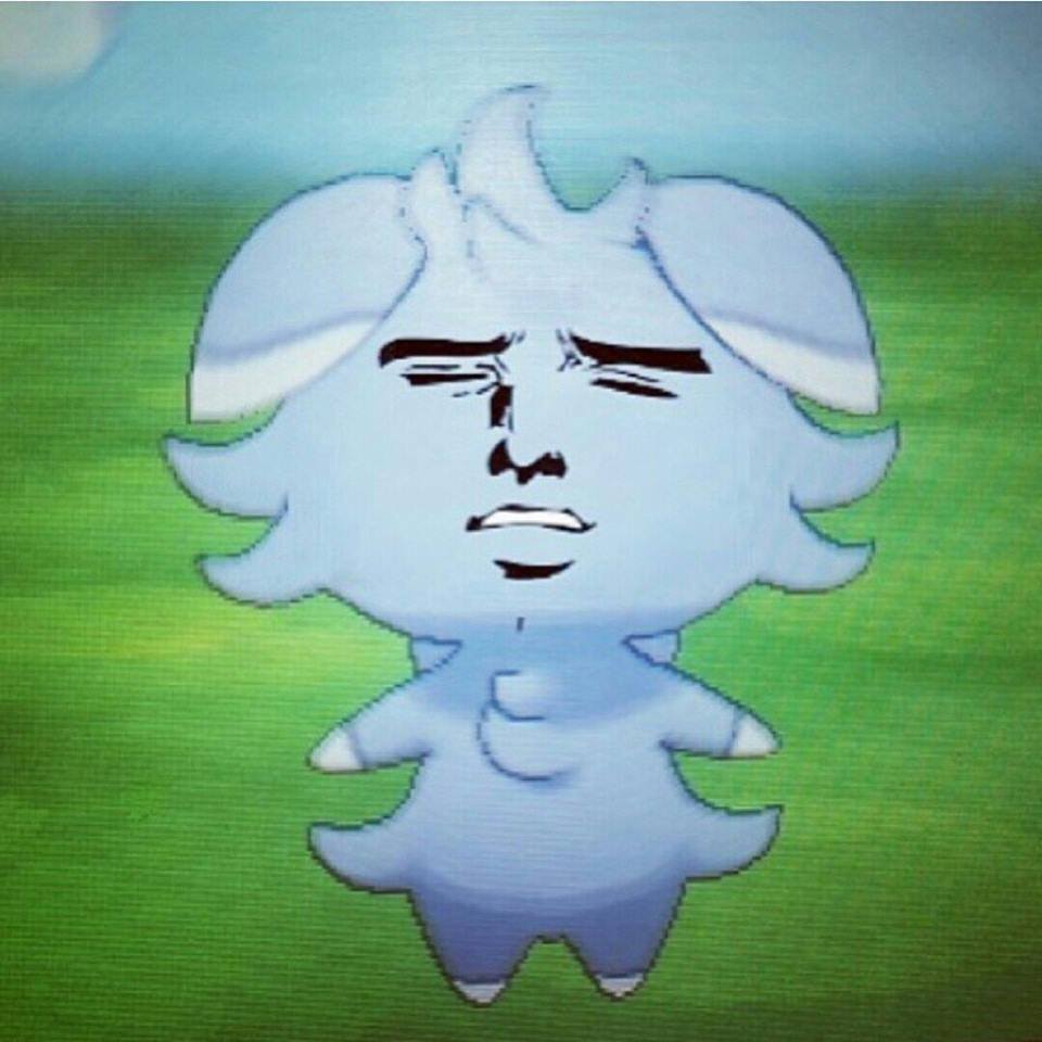 sasoreo:   Me when I woke up, turned on the computer and found myself graced by your