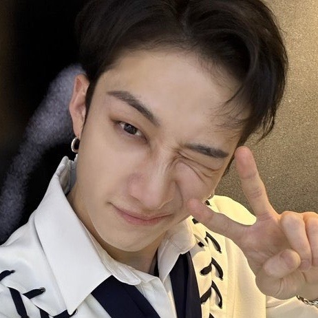Bang Chan Icons.