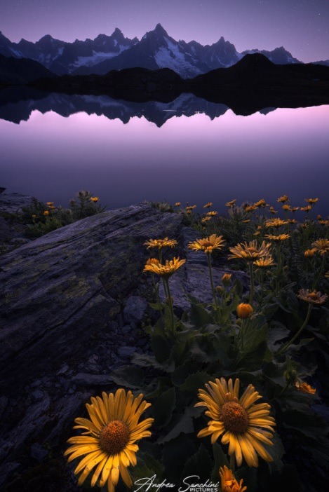 sweetd3lights:All rights reserved by Andrea Sanchini  