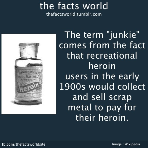 thefactsworld - The term “junkie” comes from the fact that...