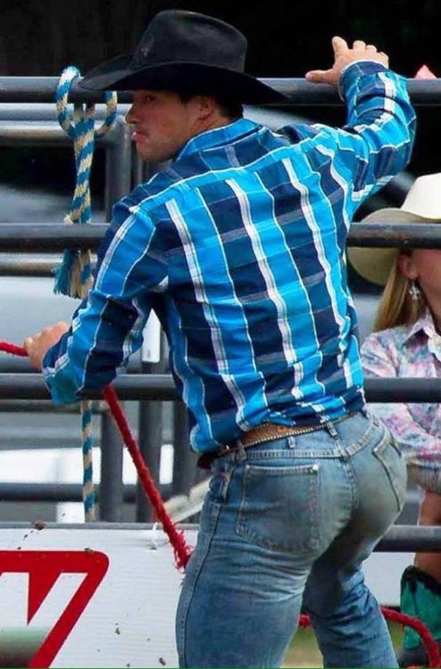 jaketx:  ASS |  All Day | Today |  ASS