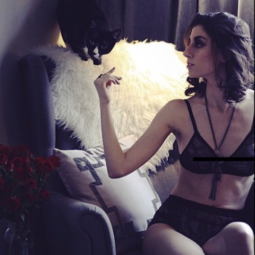 btslingerie:Today’s #valentinesday #catsxlingerie post is dark and moody and I LOVE it an exce