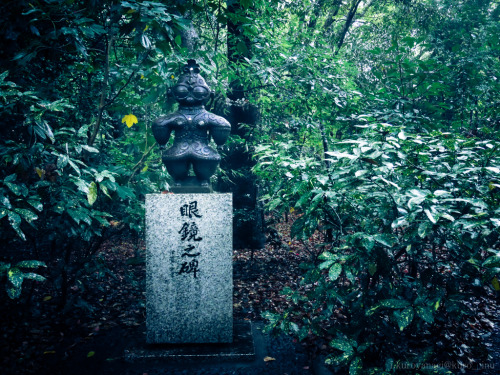 plantlibrary: kuroinusphoto: 2015年11月02日 08．眼鏡之碑 愛知県 For Nemophiliacs