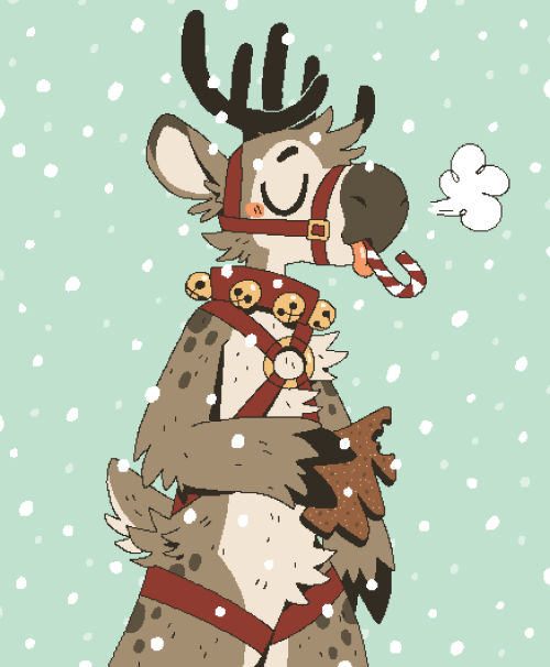 Reindeer