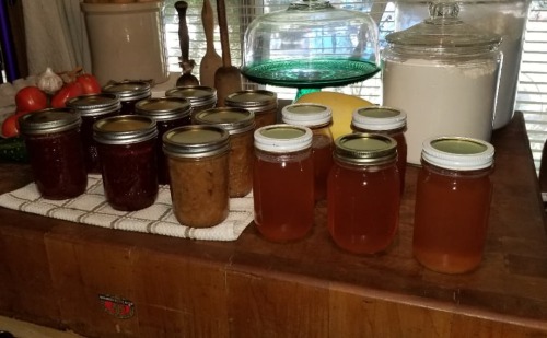 Another day of canning done. Today I put up rhubarb jam, pear sauce, and apple syrup. Yes it’s