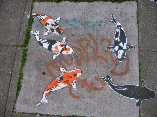 love:  Sidewalk Koi Fish by Jeremy Novy  