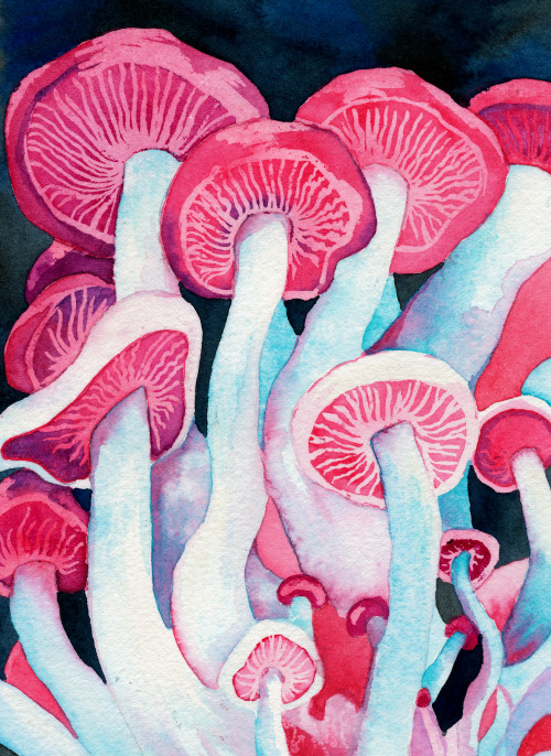 sleepypsychedelia: Shamanic Shrooms