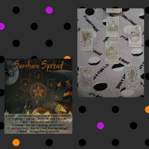 On this Samhain, I used the Tarot spreads by the lovely @moonandcactus to see what what my ancestors