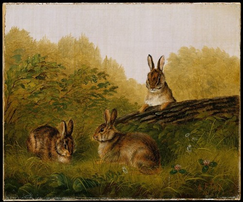 Arthur Fitzwilliam Tait, Rabbits on a Log, 1897. Oil on canvas. USA. Via metmuseum