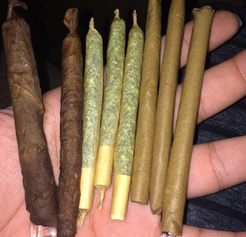 bluntrollerandsmoker:  Part Starters 