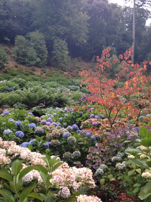 chili-jesson:   This place was heaven 