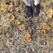 kitten-tailss2:🍂thank you for today 🍂