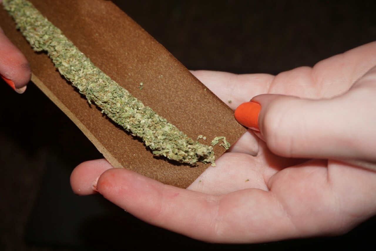 mice-teeth:  3 gram halloween blunt