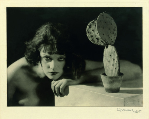 Frantisek Drtikol, “Cactus”, 1925