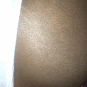princecharmeddd:  #dick #spanishpapi