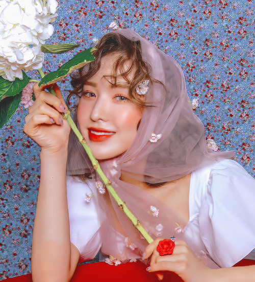 wendysday:red velvet x sappy ♡ limited flyer scans