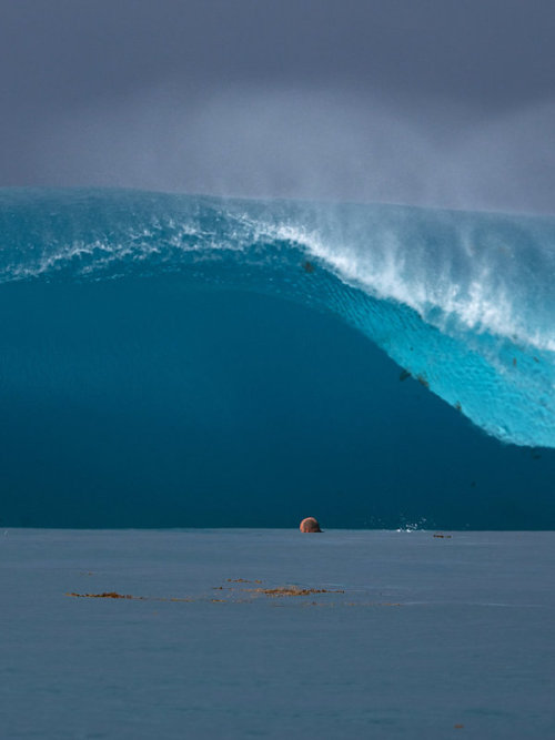 surfsouthafrica: You wouldn’t want this wave landing on your head. Pohnpei. Photo: Ted Grambeau 