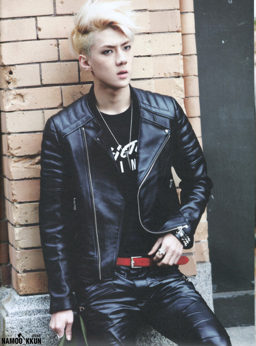 hairykpoppits:  [REQUEST] Leather Pants Part 2 - EXO’s edition
