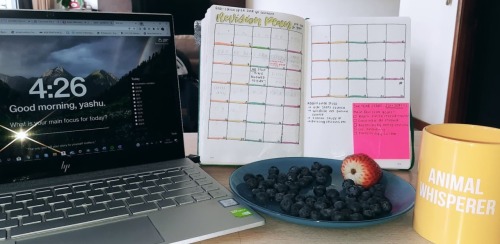 blueberries are serotonin hehe.. I will post what that study plan looked like all filled up in a cou