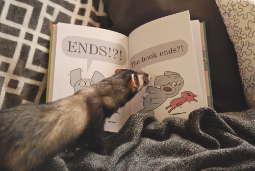 the-book-ferret:  the-book-ferret:  THE BOOK CAN’T END!  THE SERIES CAN’T END! Apparentl