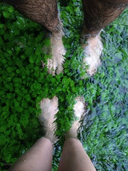 forest&ndash;taurus:  Me and sage-mode&rsquo;s feet in the river today. 