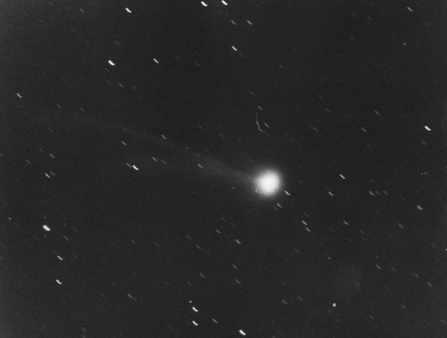 Porn photo sci-universe:  Comet Bennett and Tago-Sato-Kosaka