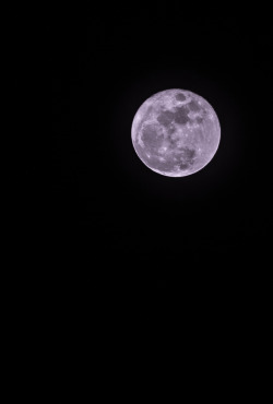 bluelunaphotography:  full moon tonight