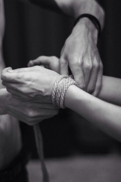 someoneskitten:  Trust.