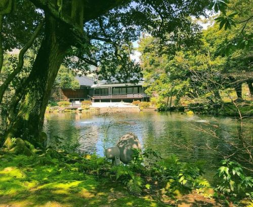 ＼おにわさん更新情報／ ‪[ 石川県金沢市 ] 松風閣庭園（旧本多家庭園） Shofukaku Garden, Kanazawa, Ishikawa の写真・記事を更新しました。 ――鈴木大拙館『水鏡