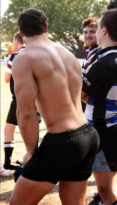 manly-muscular-machos:   	REAR VIEW:  Got back? by PUMPING  IRON - TWO    