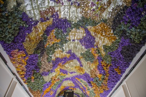passivites: The Canopy by Rebecca Louise Law is composed of 150,000 native Australian flowers entwined together with carefully concealed copper wire.  