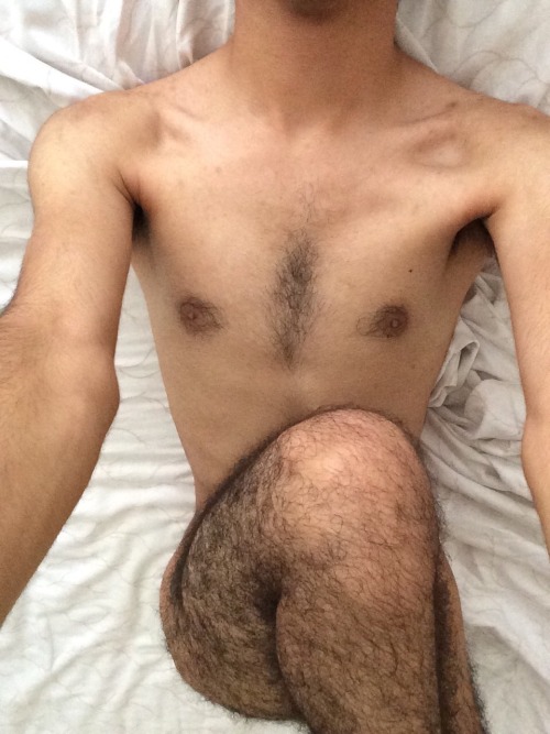 pbleglover7:  Precious beautiful leg hair