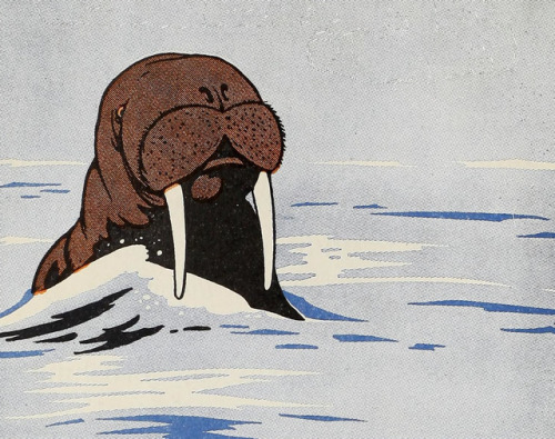 Illustration from Our Little Friends of Eskimo Land - Frances Carpenter - 1911 - via Internet Archiv