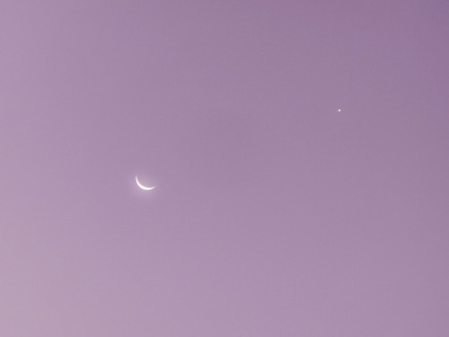 angesirene: The Moon and Venus, early this morning ♡