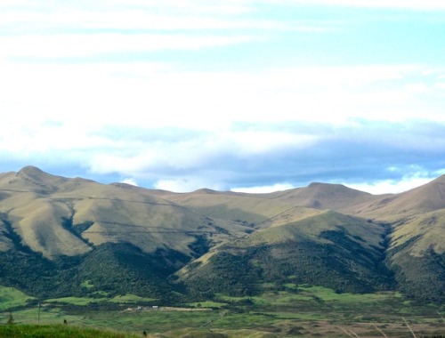 Páramo, cerca de Volcán Cotopaxi, Ecuador, 2008.The usage of the word “paramo” in Castellano varies,