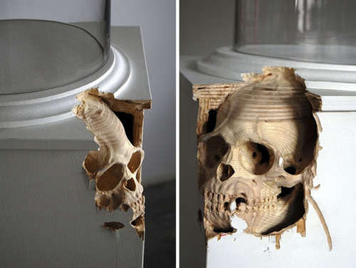 wittyusernamed:thedesigndome:Artist Carves Wooden Rope Sculpture From a Tree TrunkArtist Maskull Las