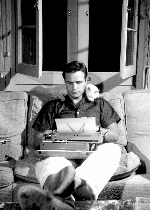 cyberqueer:   Marlon Brando and Paul Newman with cats 