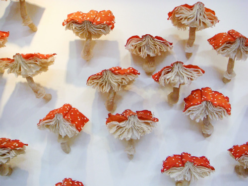 archiemcphee:  Look closely, these frilly mushrooms are made of books. Although they look like something Alice might’ve encountered during her adventures in Wonderland, they’re the creation of Chicago-based visual artist Melissa Jay Craig. Entitled