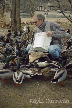 kaylahunt:  Ducks are my super favorite animal and I always get really happy when I see people feeding them. Such a good Long Islander! I feel like one day when it makes sense in my schedule I’d like to take on this job. For the ducks!  More here - http:/