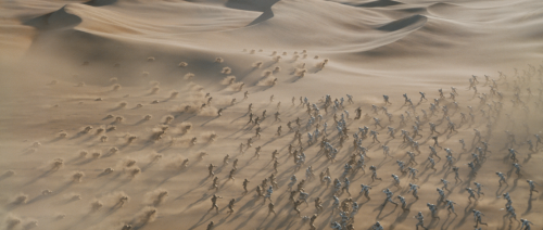 Dune (2021), dir. Denis VilleneuveCinematography by Greig Fraser