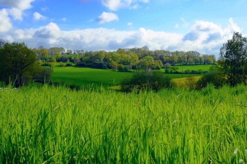 pmontag:Un dimanche de Pâques en Mayenne.