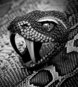 ~e upload  tumblr mark’d/ black &amp; white diamond serpent ring/Jason of Beverly Hills. Please don’t remove credits ty.