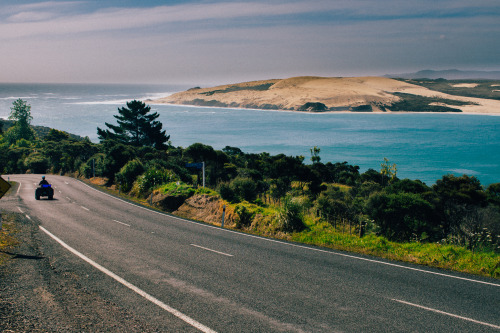 Northland, New Zealand. Waipoua Forest &ndash;&gt; Hokianga &ndash;&gt; Keri Keri 