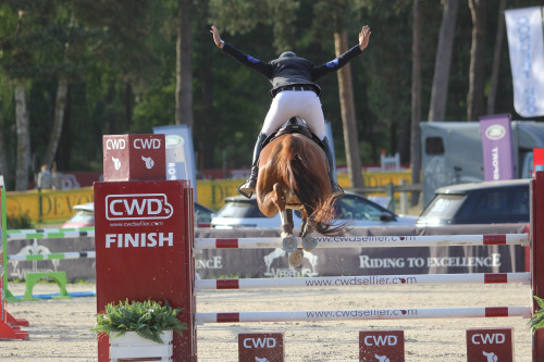 cwdsellier: Flying to victory!