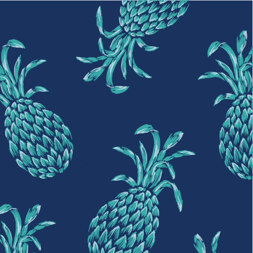 Drew some sweet summer pineapple action on this Kohl’s Sonoma shirt