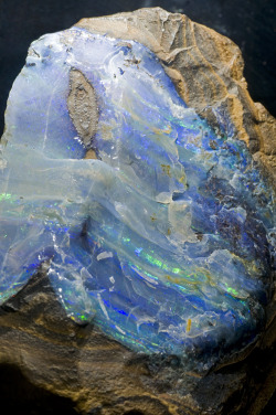 fuckyeahmineralogy:  Natural opal, from the