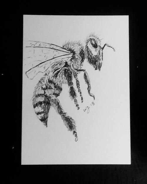 6thcircleart: Day 2: Bee #amonthofbugs2018 @leami_art #aceoaugust #artisttradingcard #aceo #sketchca