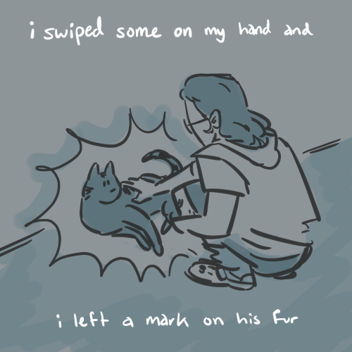 The Loss Of A Pet