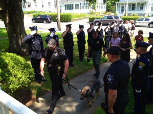 hoqwarts-hbu:license2tumbl:fishtwigz:matthejew-blog:Kaiser, a police dog, being saluted as he walks 