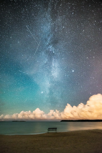 tulipnight:  First Row by Mikko Lagerstedt on Flickr.